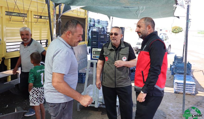 Karapınar’da Hırtlak Hasadı Devam Ediyor