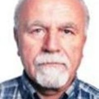Osman Nevres YILMAZLAR  - Emekli İl Çevre Müdürü