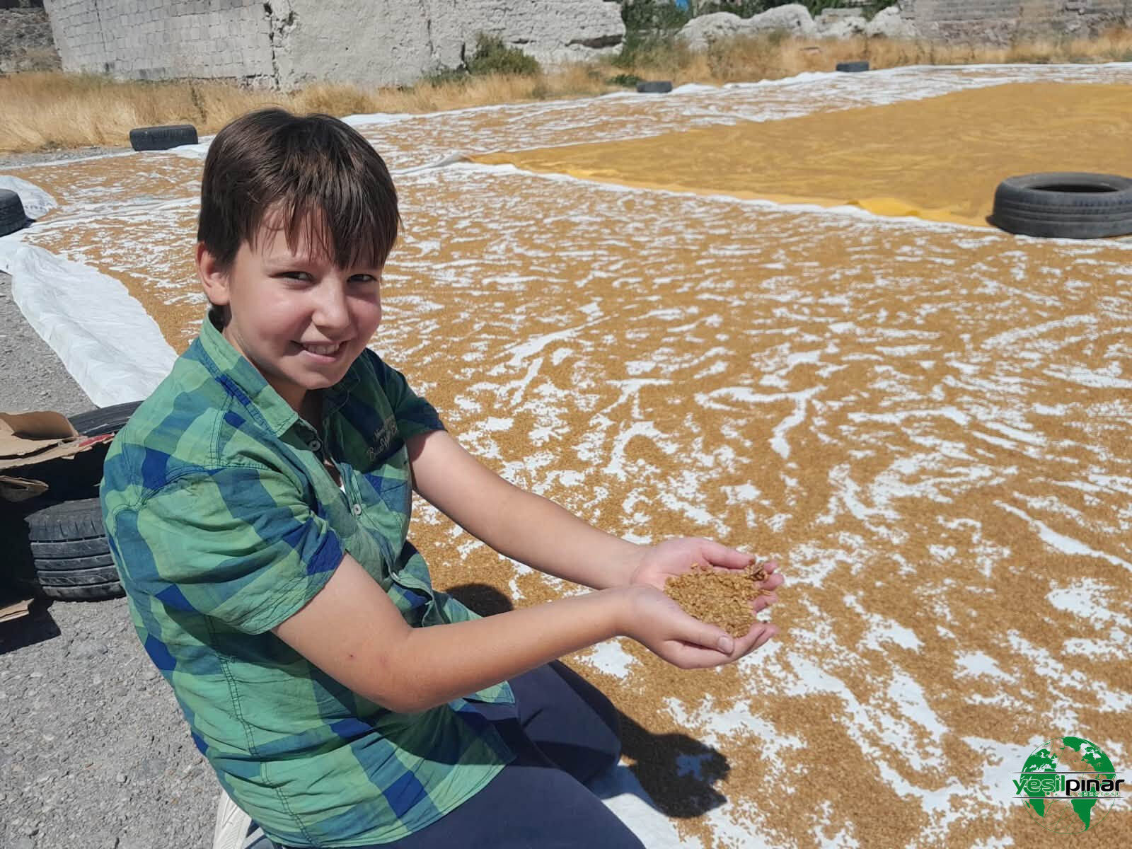 Karapınar’da Evlerde Bulgur Telaşı: Asırlık Gelenek Yaşatılıyor