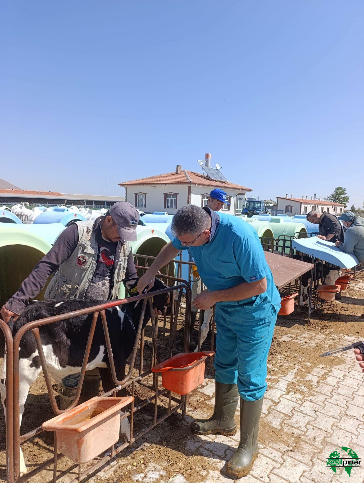 Karapınar’da Ari İşletmelerde Tüberküloz Taraması Sürüyor
